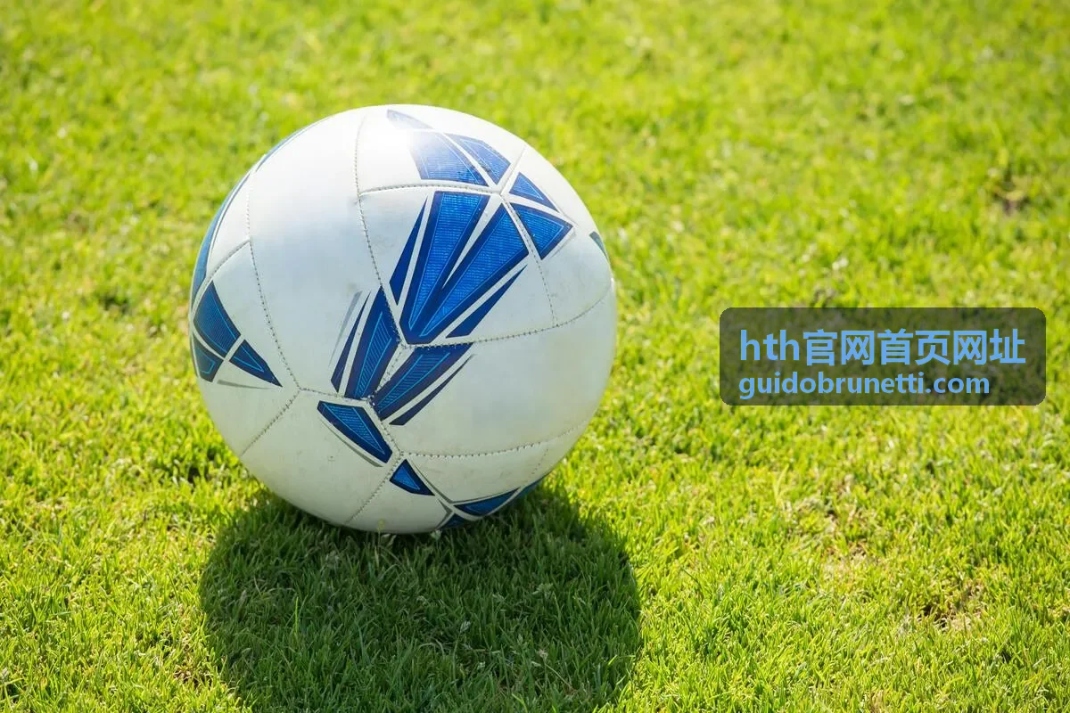 hth官网首页网址 常见问题解答栏目说明配图
