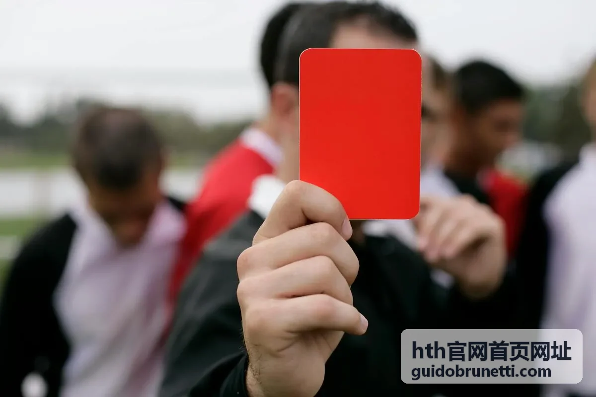 hth官网首页网址 入口核对步骤配图